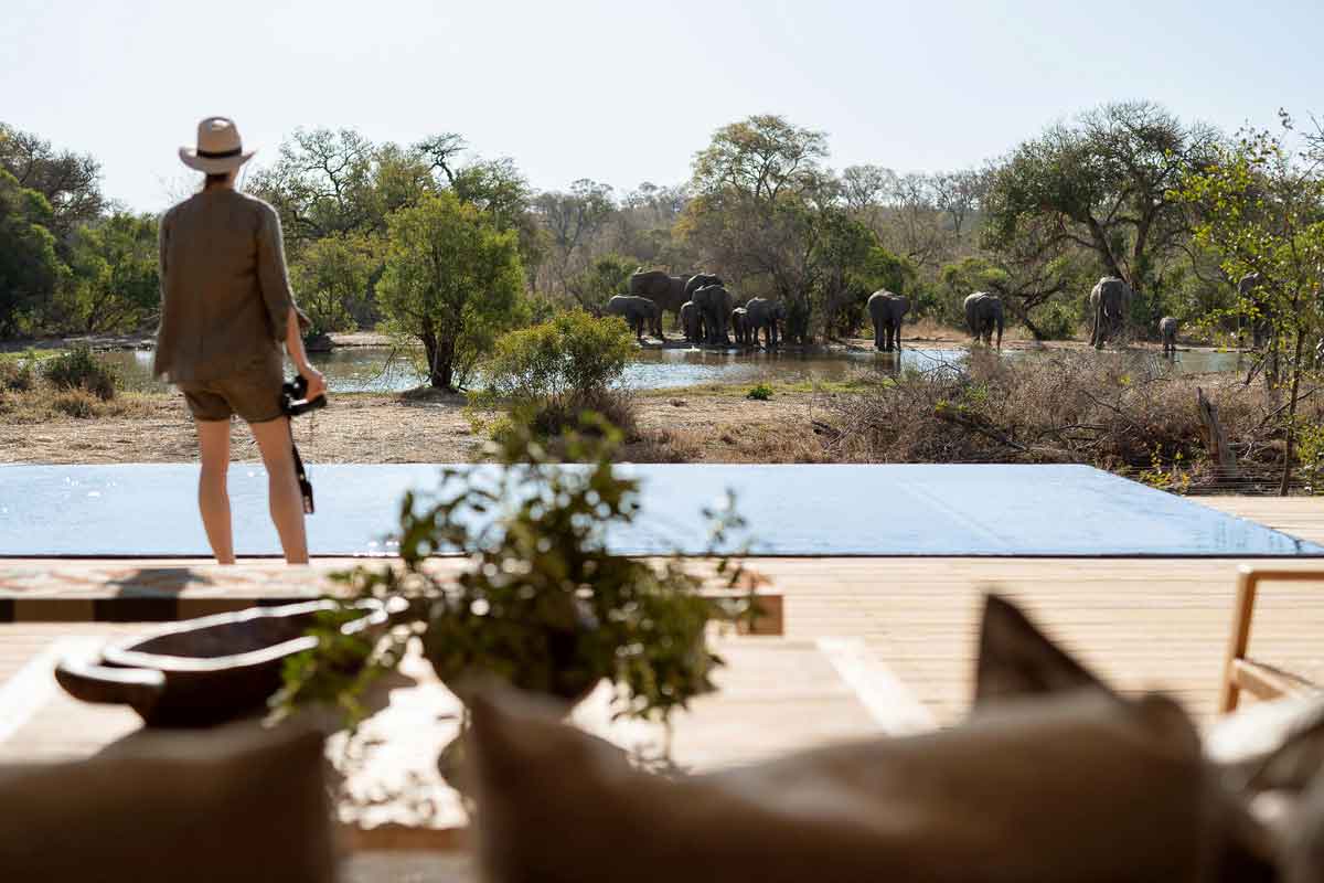 Top 12 Thornybush Safari Lodges - Monwana