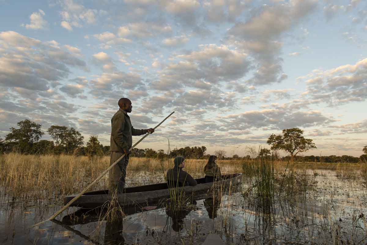 Mesmerising Botswana Safari-Little Sable Camp
