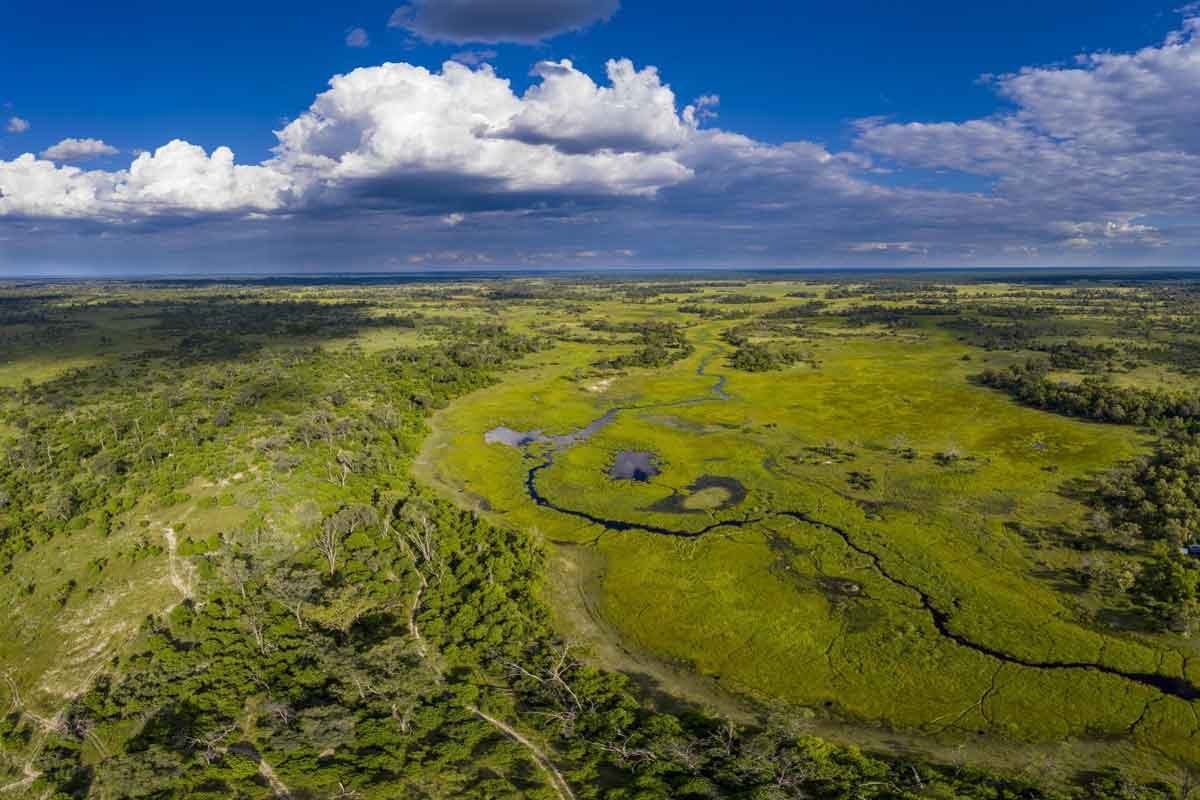 Mesmerising Botswana Safari-Little Sable Camp