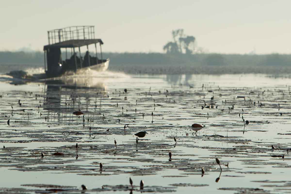 Mesmerising Botswana Safari-Setari Camp