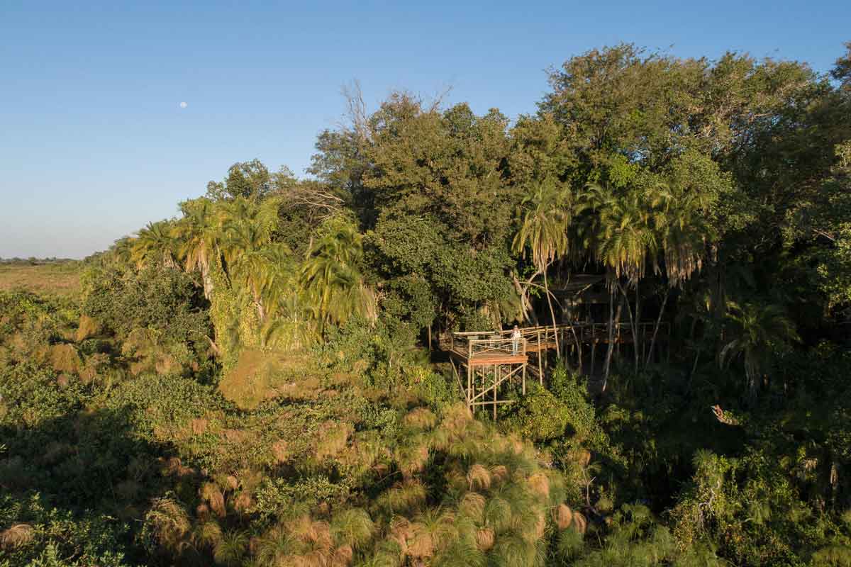 Mesmerising Botswana Safari-Setari Camp