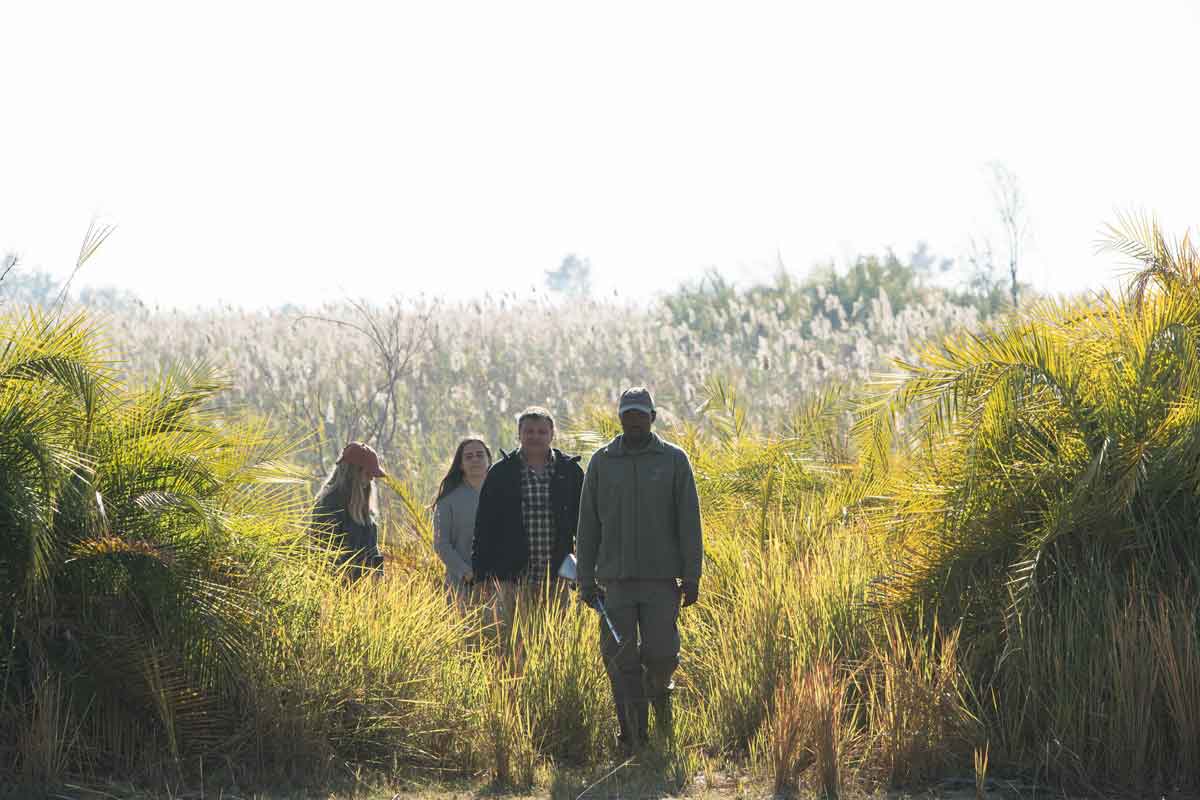 Mesmerising Botswana Safari-Setari Camp