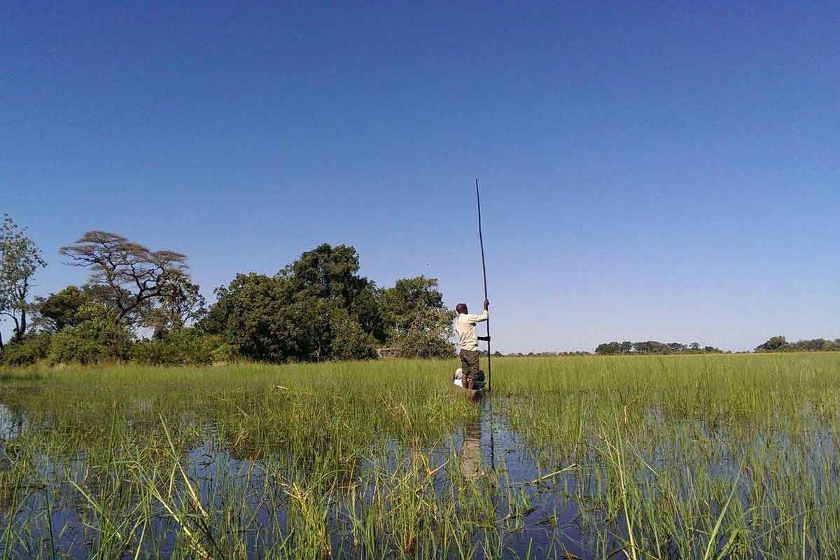 Okavango Delta Mopiri Camp