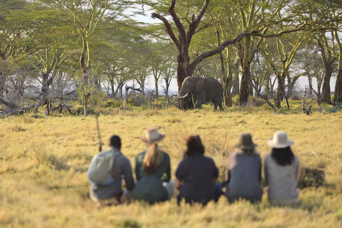 Ngorongoro and Serengeti Safari - Namiri Plains