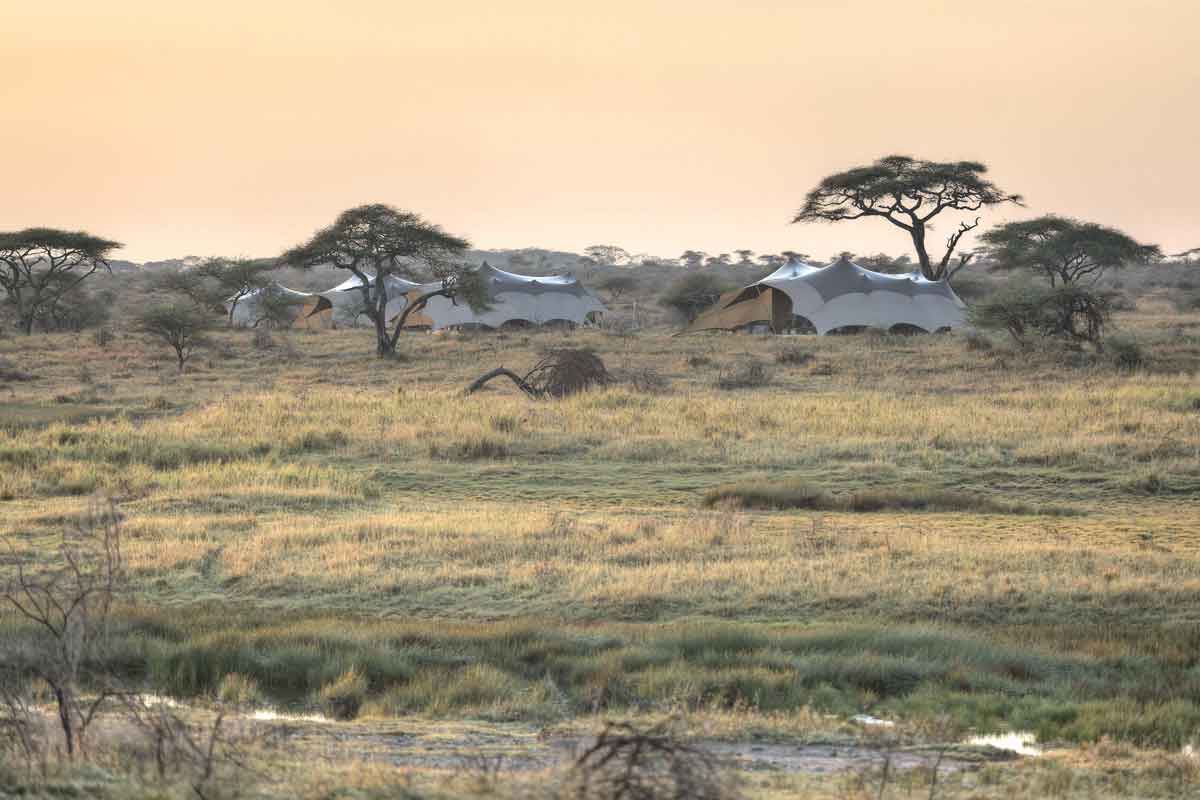 Ngorongoro and Serengeti Safari - Namiri Plains