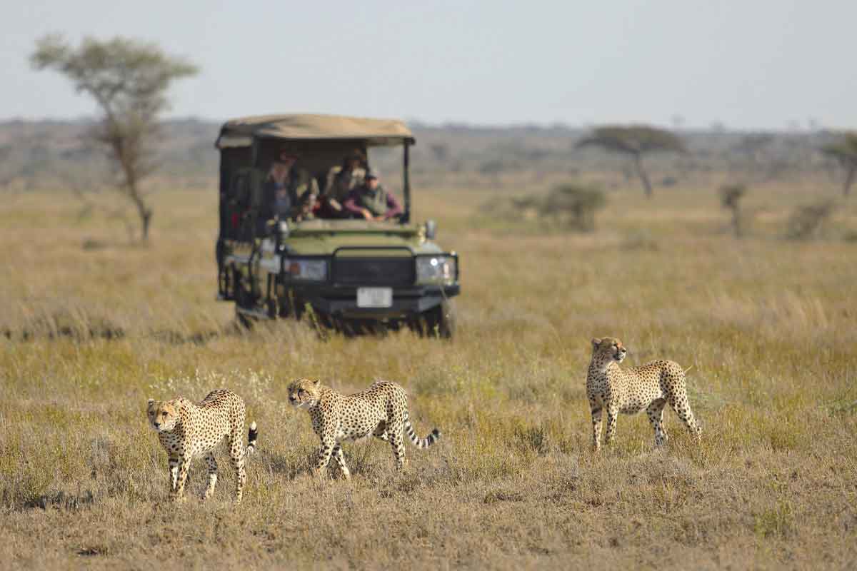 Ngorongoro and Serengeti Safari - Namiri Plains