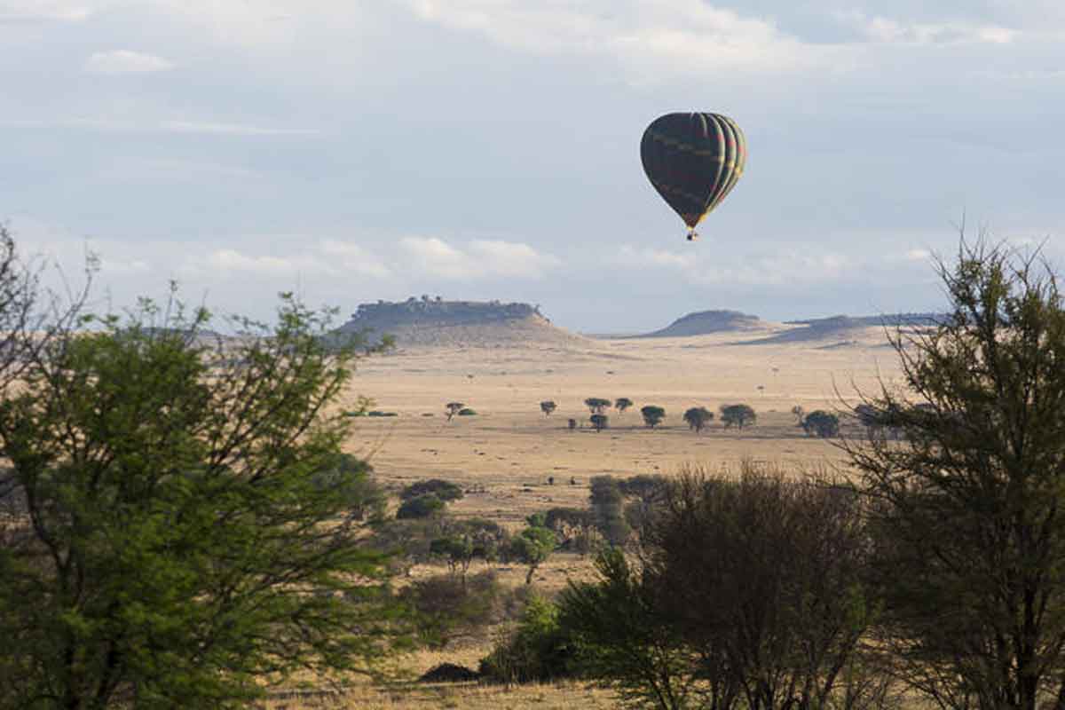 Ngorongoro and Serengeti Safari - Sayari Camp
