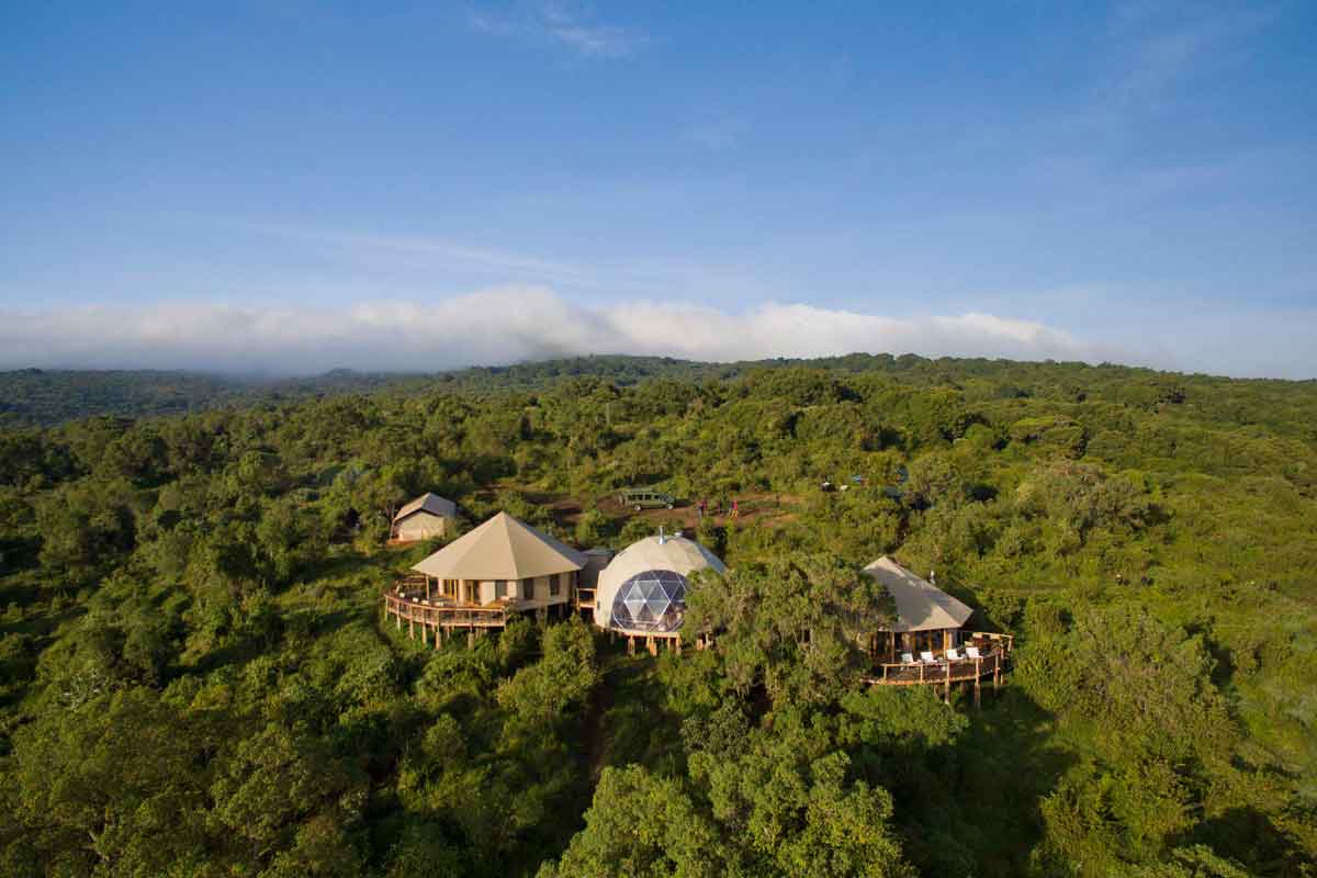 Ngorongoro and Serengeti Safari - The Highlands