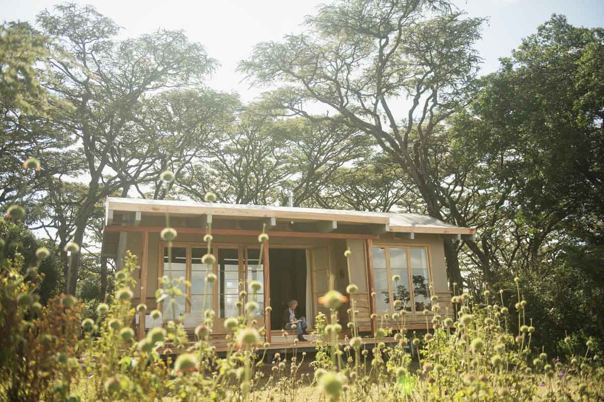 Nomad Entamanu Ngorongoro