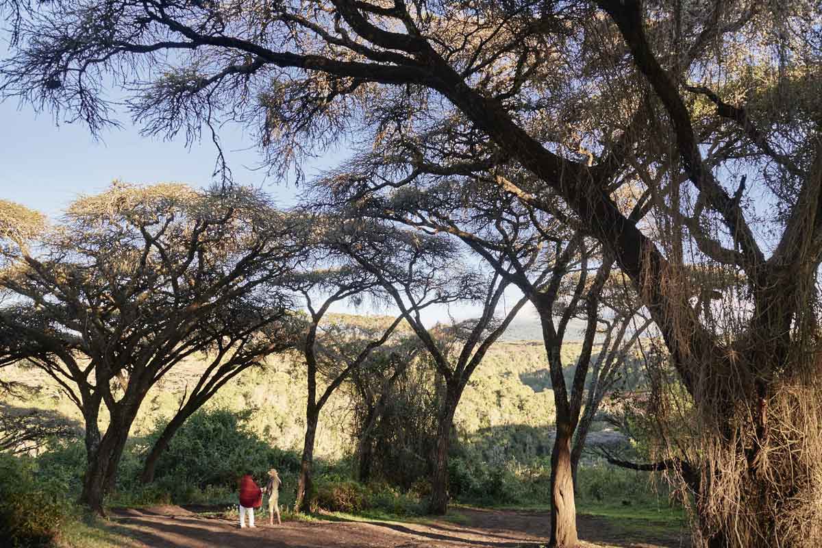 Sanctuary Ngorongoro Crater Camp