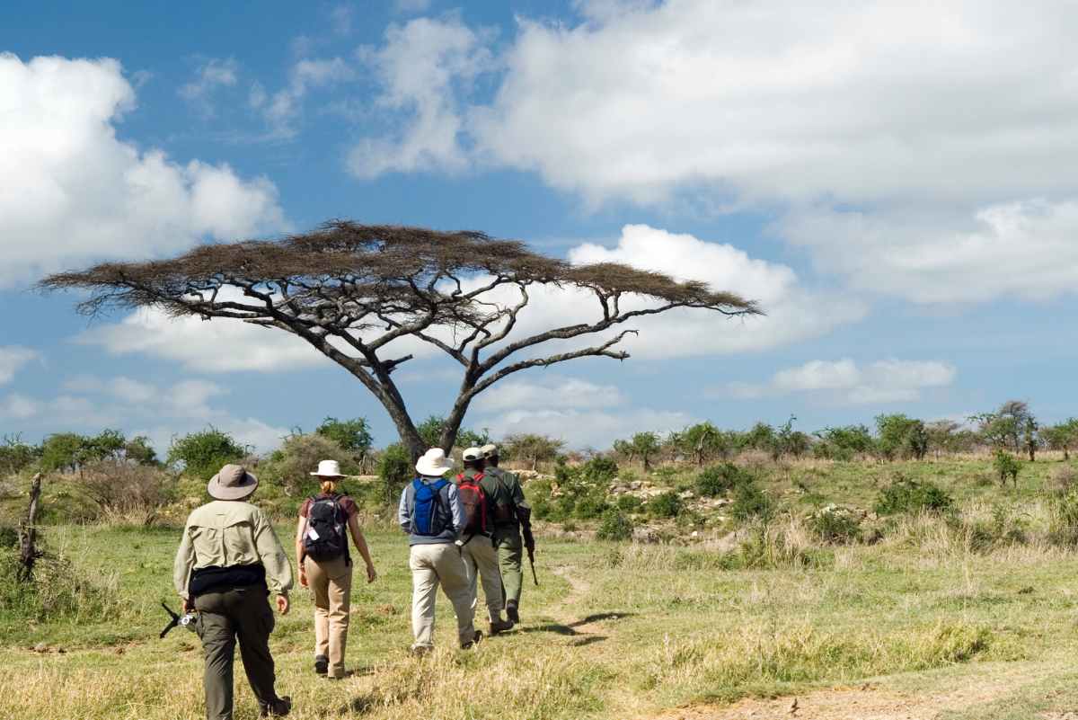 Tanzania Safaris - North vs South