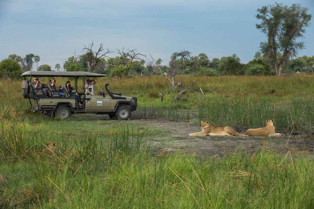 Highlights of Botswana-Machaba Kiri Camp