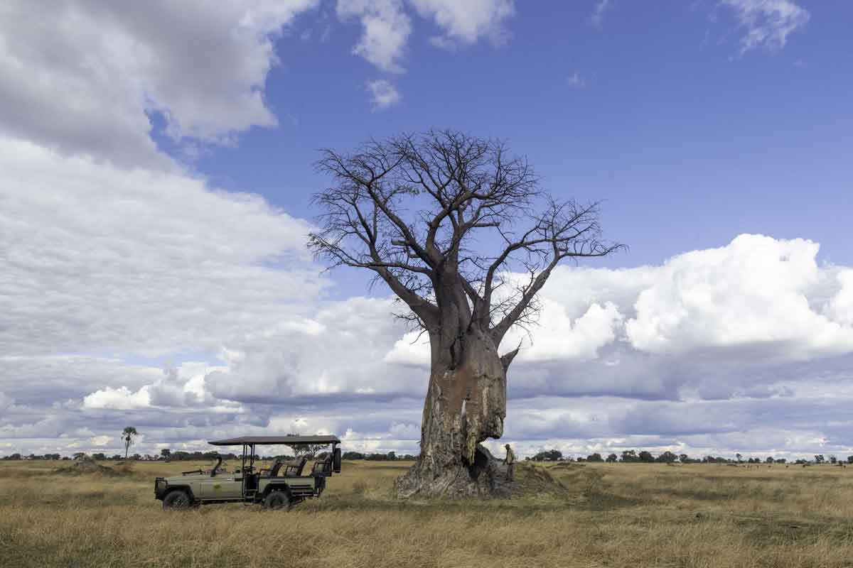 Highlights of Botswana-Machaba Kiri Camp