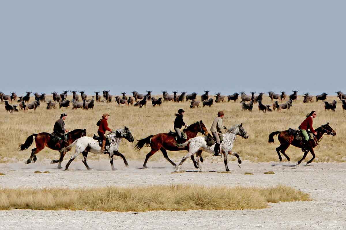 Okavango & Makgadikgadi Pans Safari-Jacks Camp