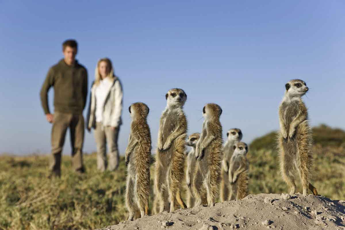 Okavango & Makgadikgadi Pans Safari-Jacks Camp