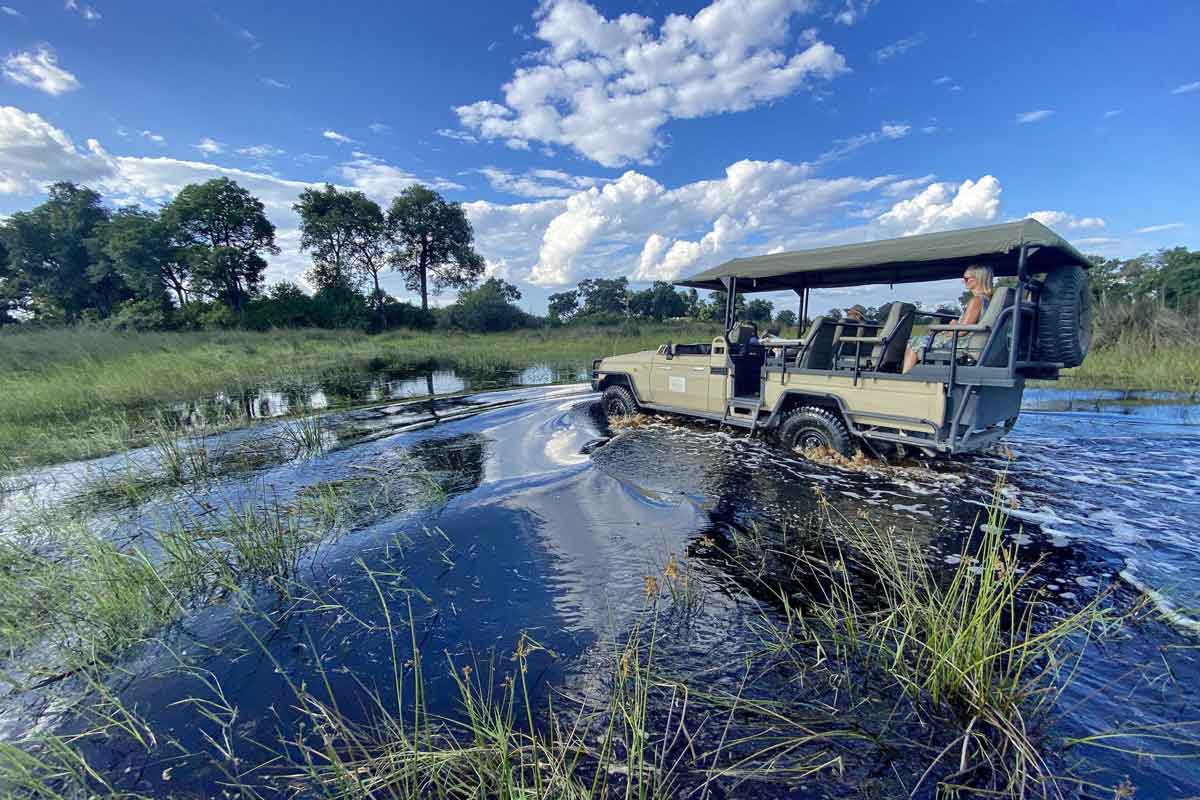 Okavango & Makgadikgadi Pans Safari-North Island