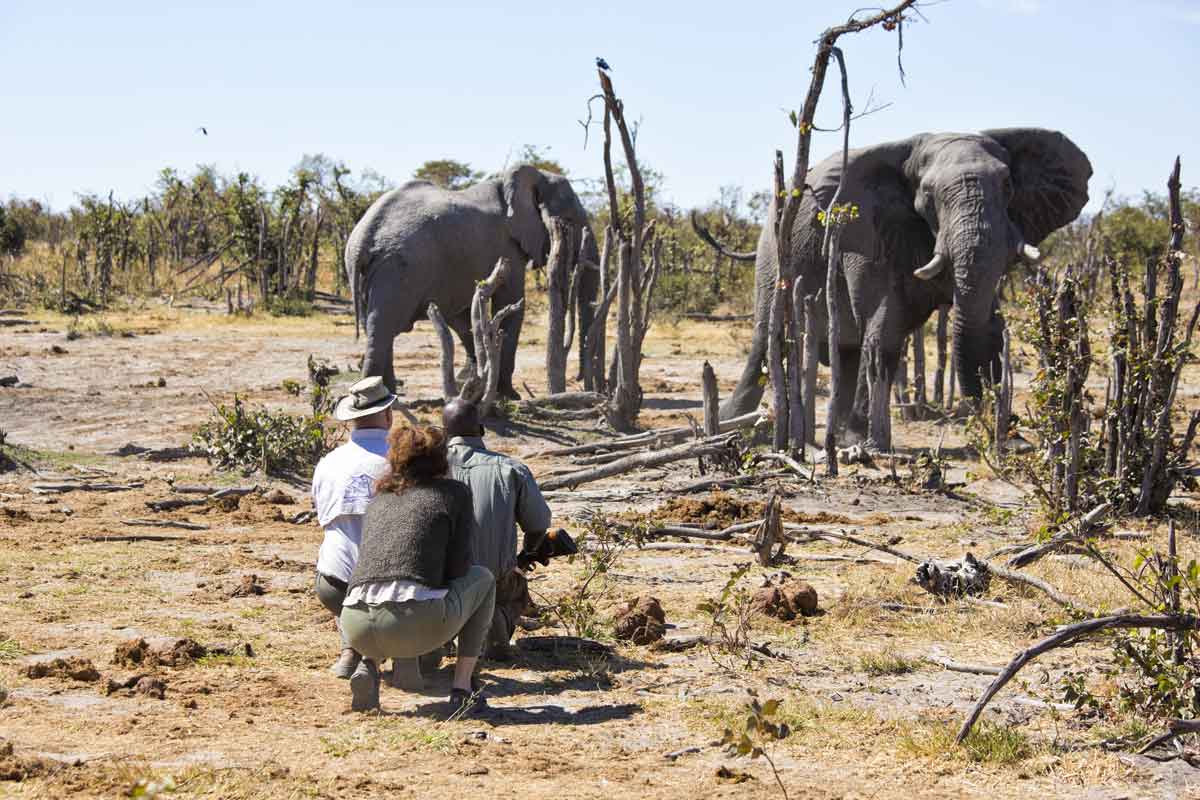 Okavango & Makgadikgadi Pans Safari-Tuludi Camp