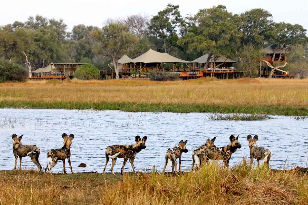 Okavango & Makgadikgadi Pans Safari-Tuludi Camp
