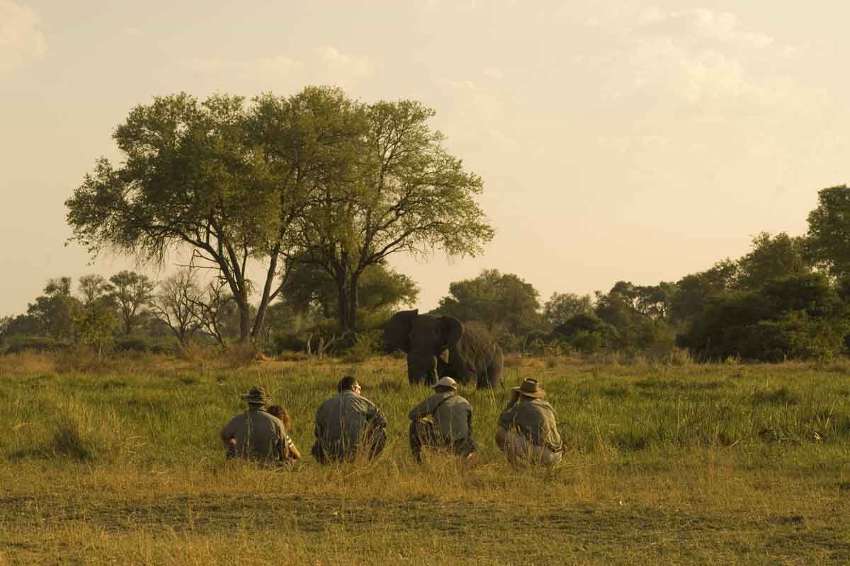 Luxury Linyanti, Khwai & Okavango Safari-Atzaro Okavango