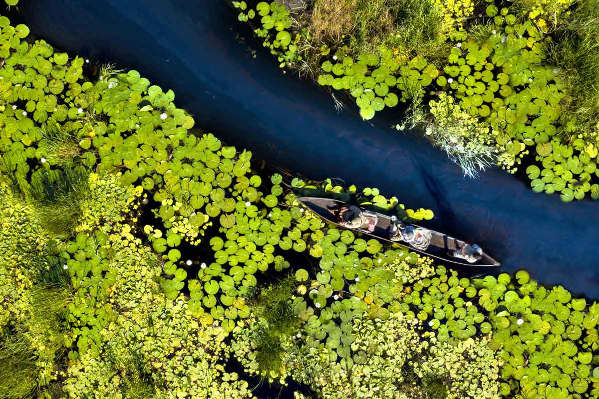 Luxury Linyanti, Khwai & Okavango Safari-Atzaro Okavango