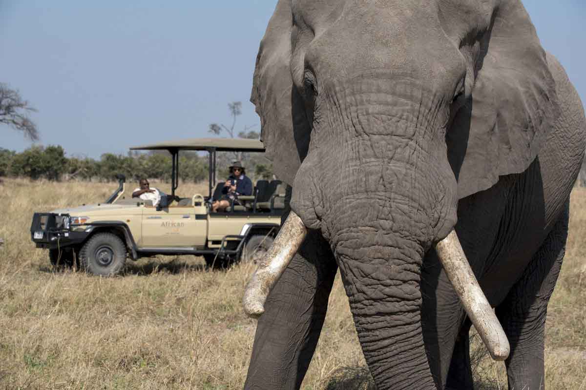 Luxury Linyanti, Khwai & Okavango Safari-Khwai Lediba