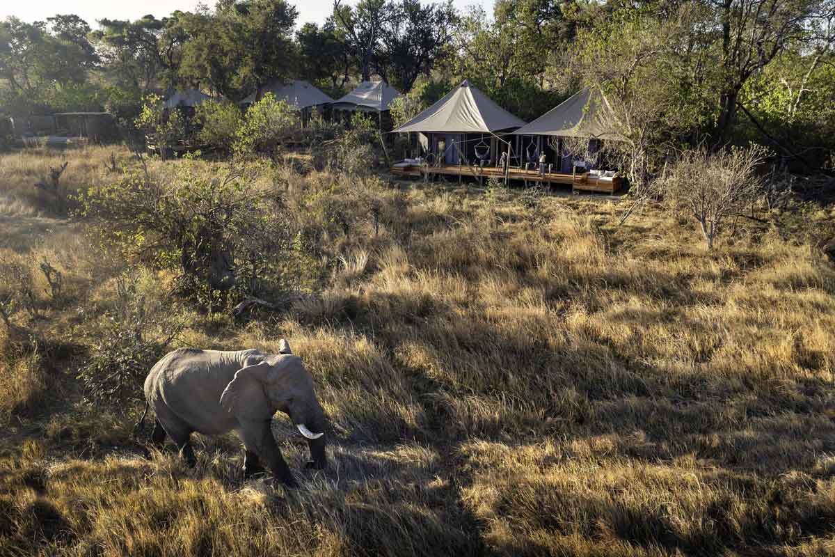 Luxury Linyanti, Khwai & Okavango Safari-Khwai Lediba