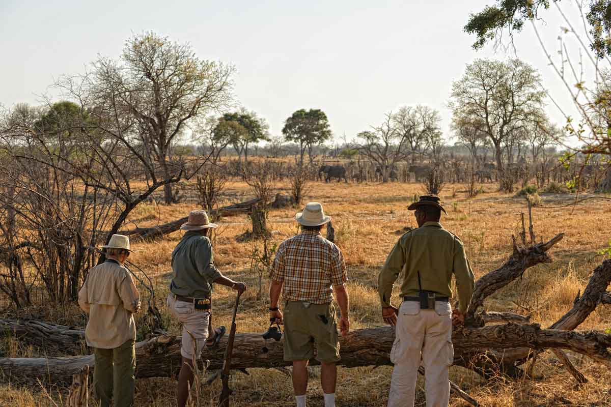 Luxury Linyanti, Khwai & Okavango Safari-Linyanti Bush Camp