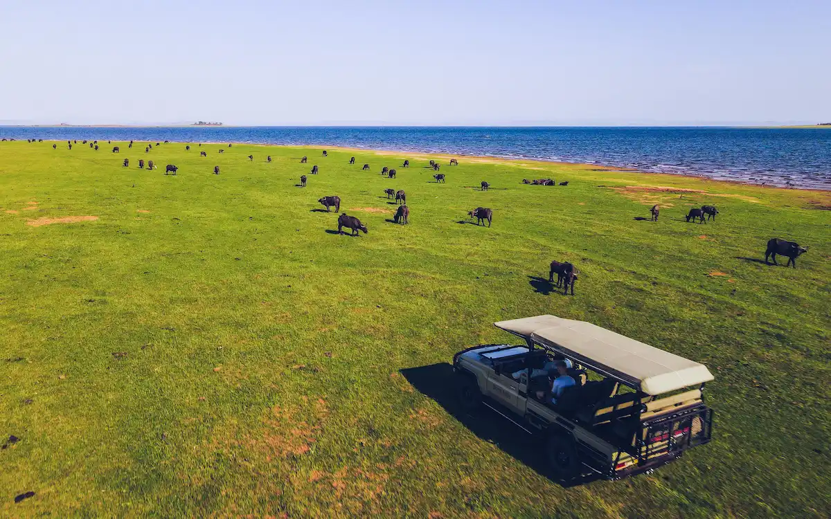 Bumi Hills Safari Lodge Lake Kariba