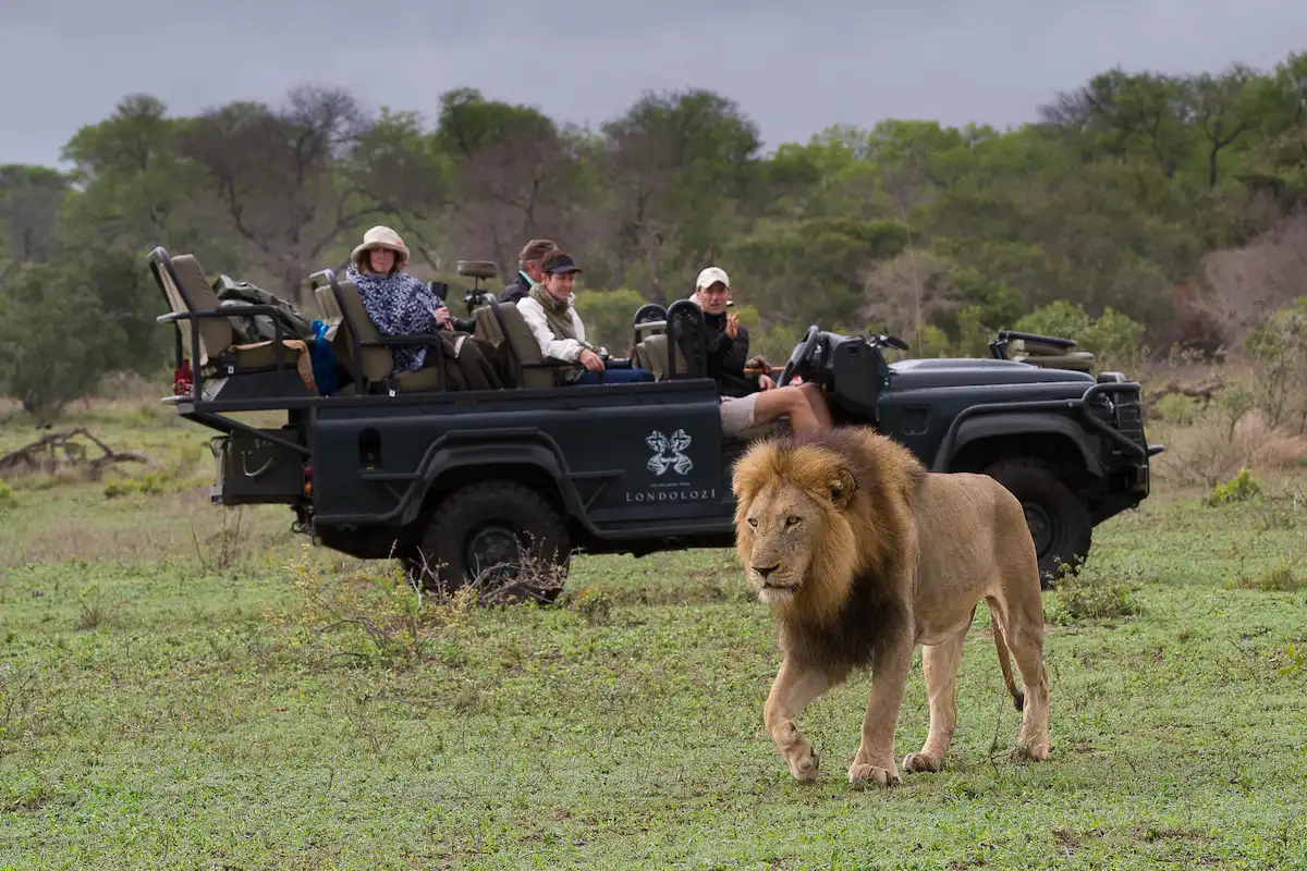 Londolozi Founders Camp