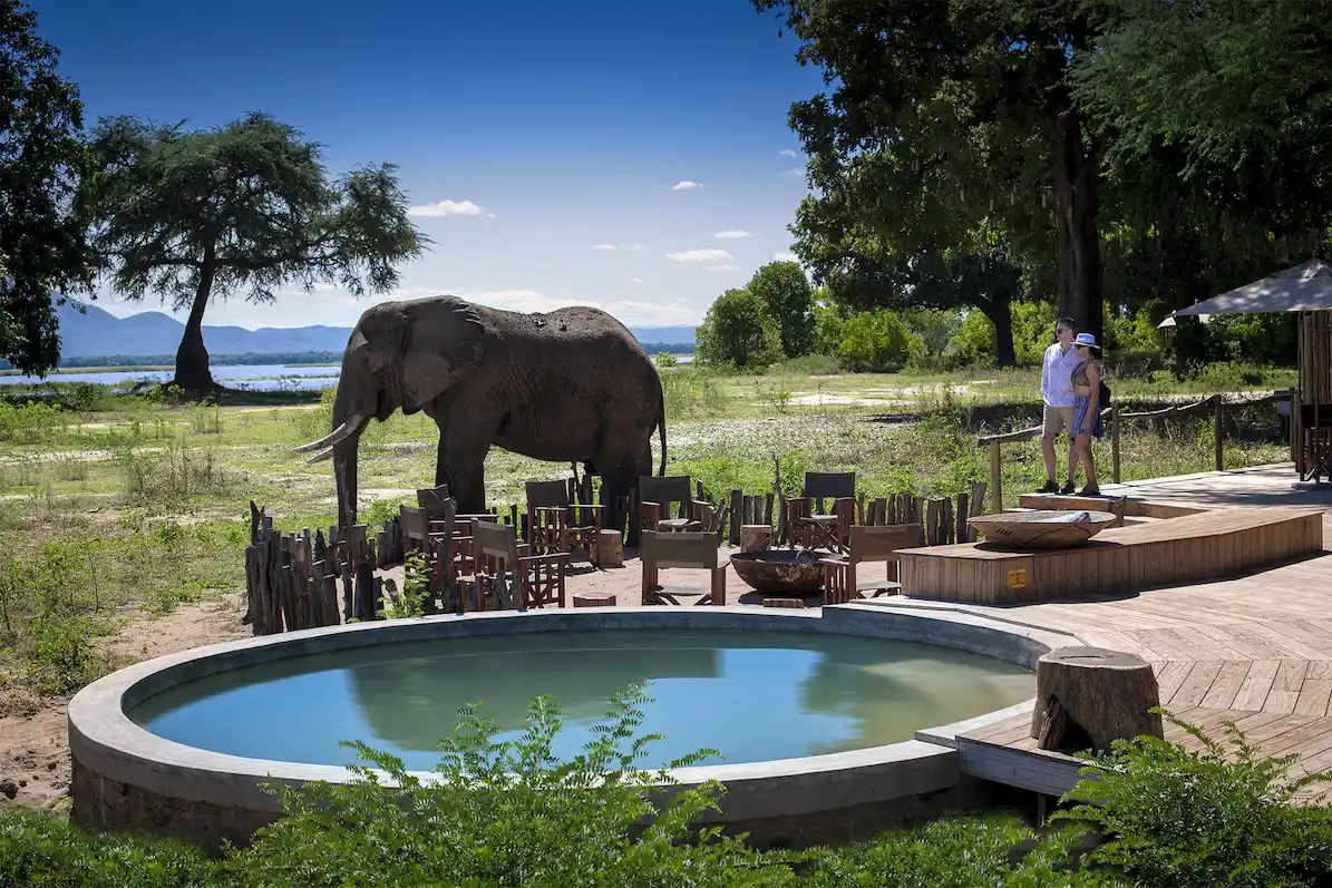 Nyamatusi Camp Mana Pools