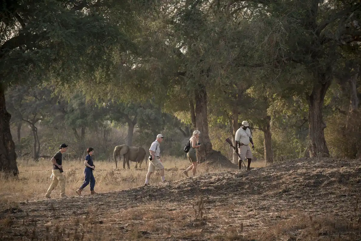 Nyamatusi Camp Mana Pools