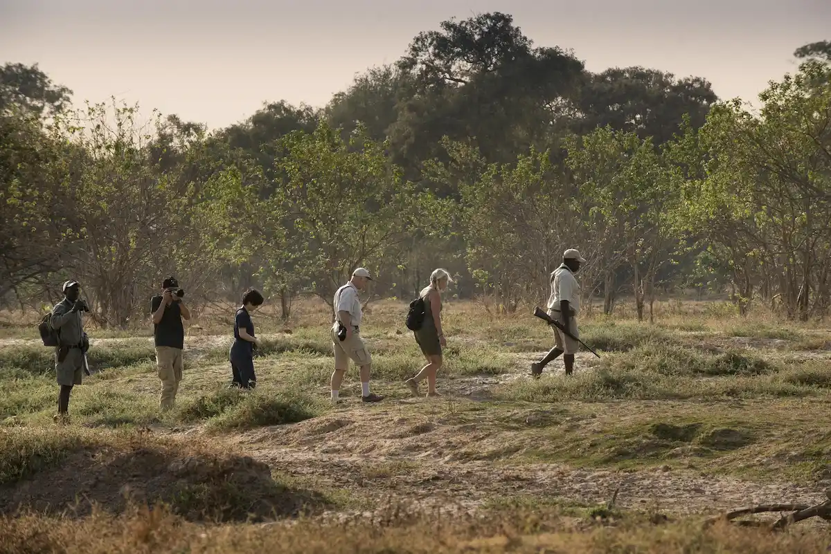 Nyamatusi Camp Mana Pools