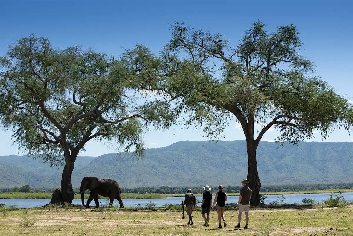 Nyamatusi Camp Mana Pools 