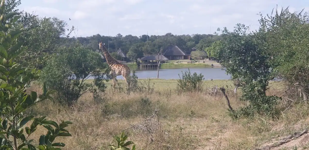 Arathusa Safari Lodge Sabi Sand