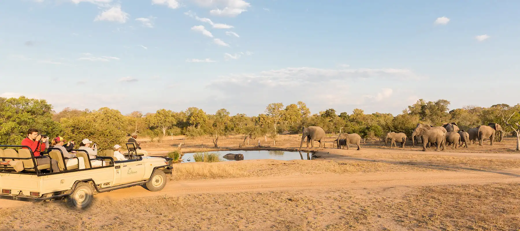 Classic Kruger Safari with Cape Town