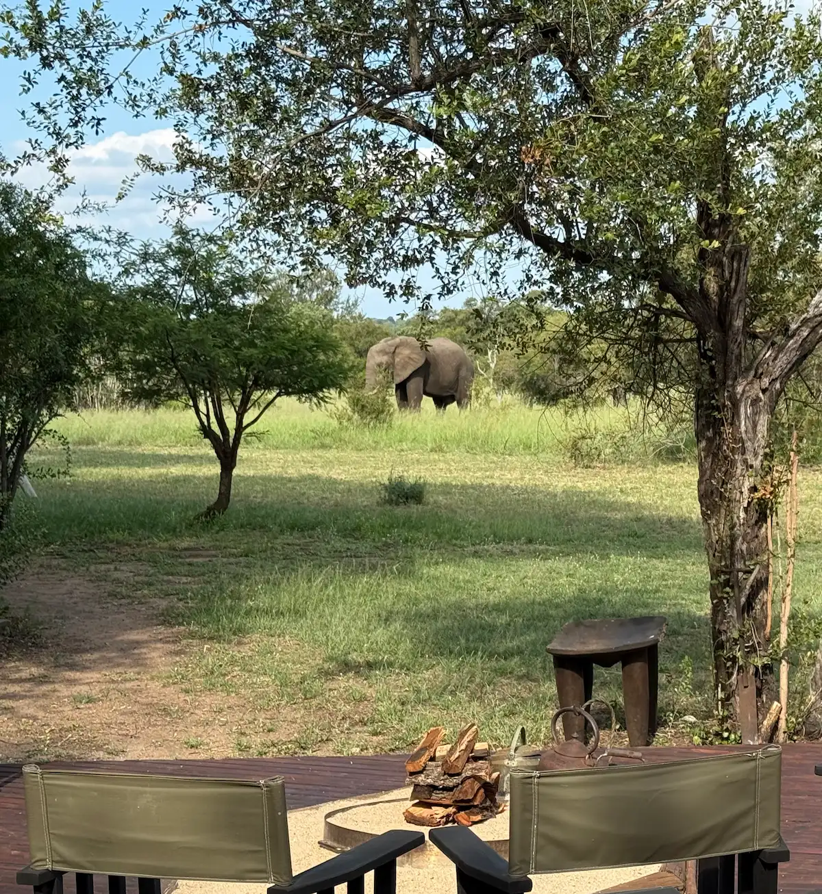 Kruger Walking Safari Review