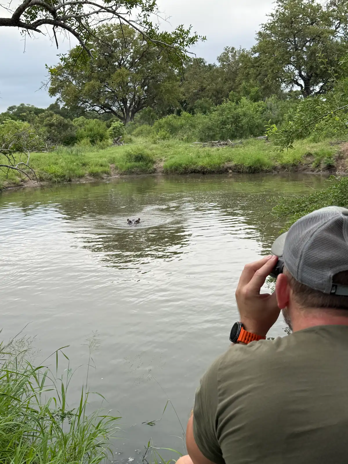Kruger Walking Safari Review