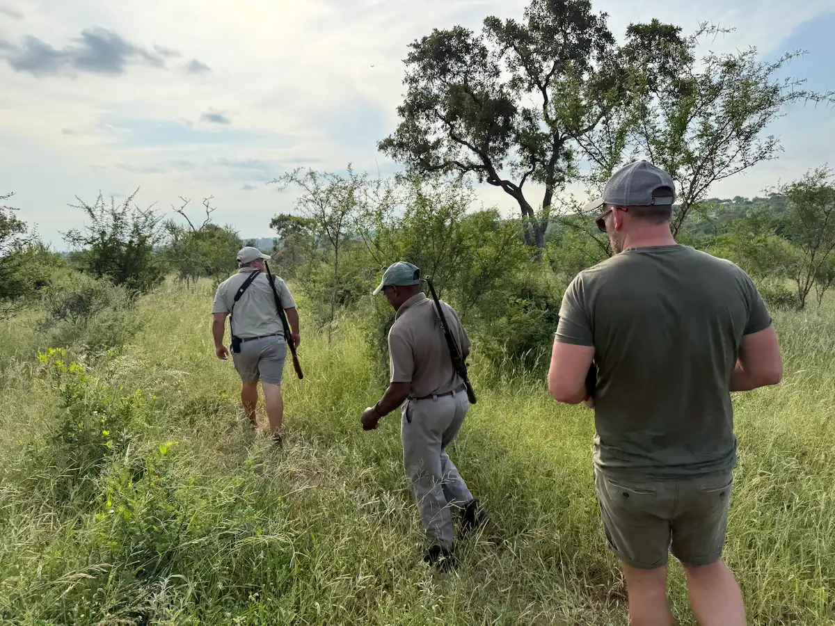 Kruger Walking Safari Review