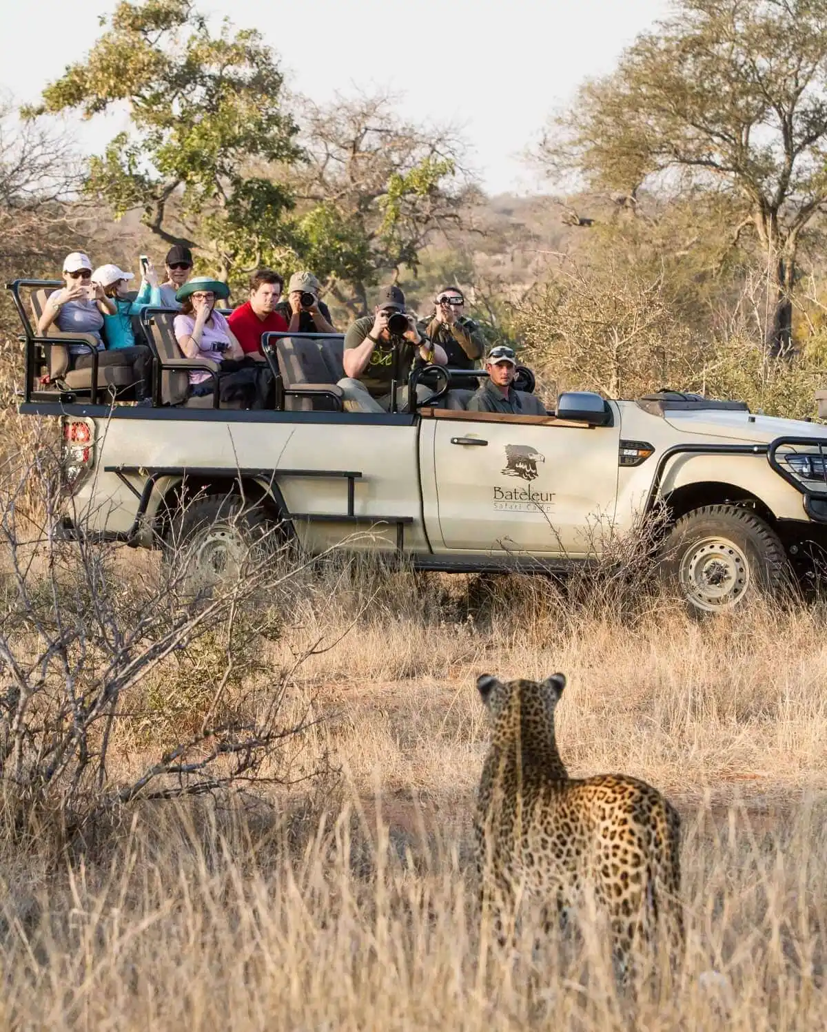 Bateleur Safari Camp Timbavati